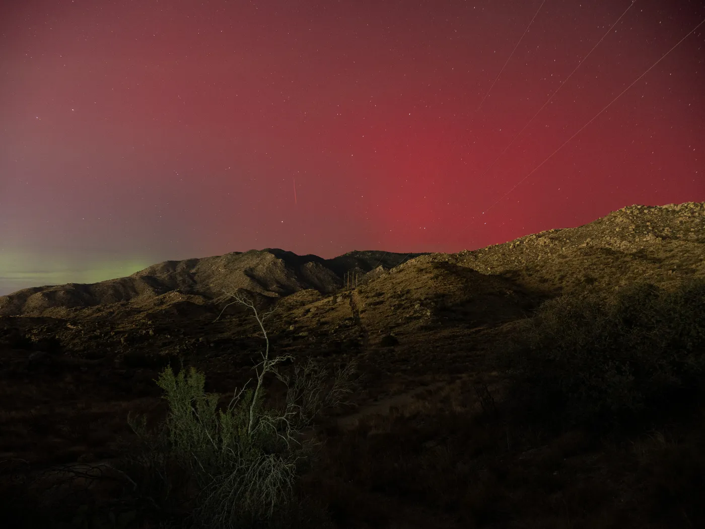 Aurora