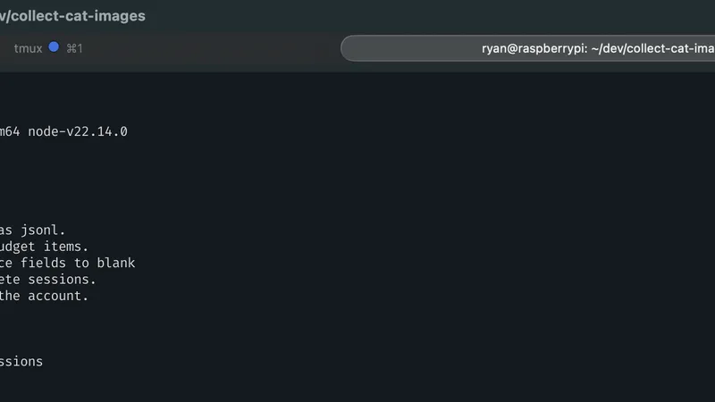 Terminal window showing eB CLI automation process